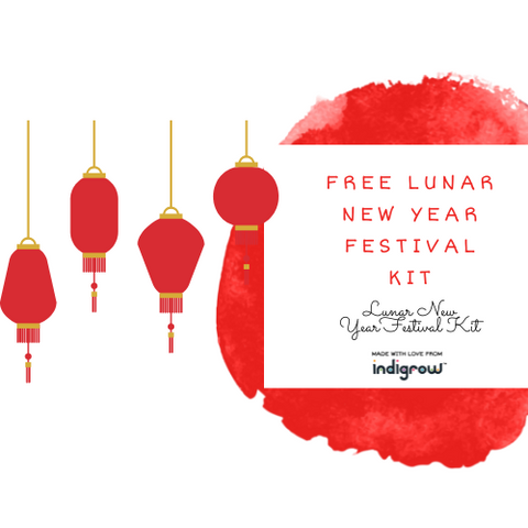 Lunar New Year Festival Kit