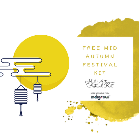 Mid Autumn Festival Kit