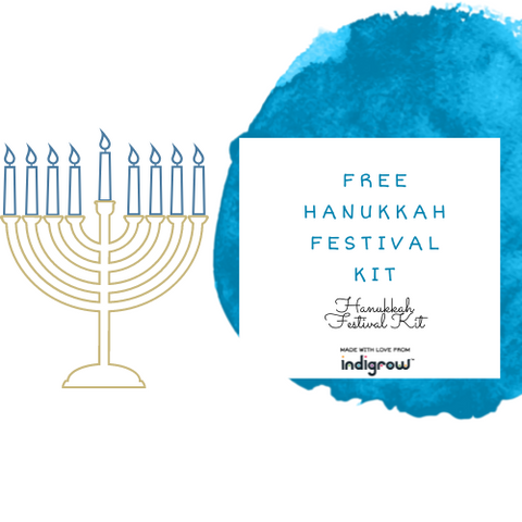 Hanukkah Festival Kit